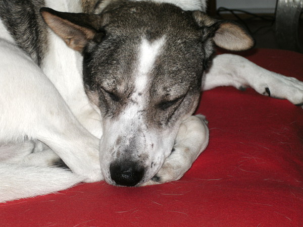 med_Immer mit der Ruhe.jpg (600 x 450)